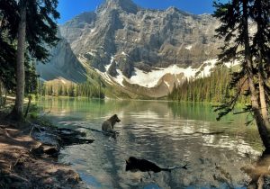 Rawson Lake: Kananaskis Hike