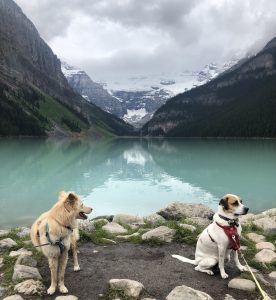 Lake Louise: Banff hike