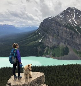 Little Beehive: Banff hike